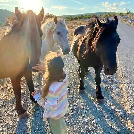 Chalet Casa Monte Lič