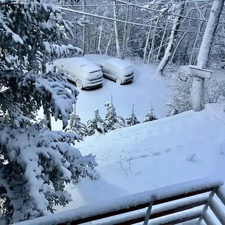 Brvnara Casa Monte *