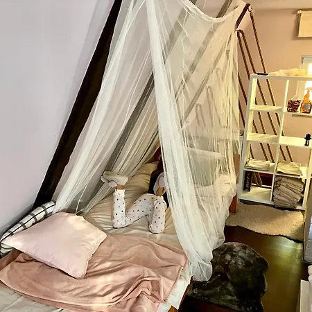 Casa Monte Brvnara *