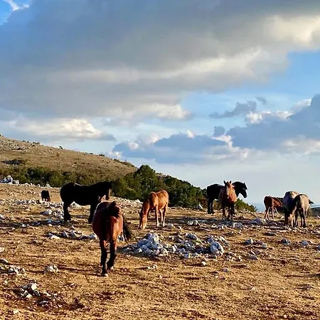 Casa Monte Brvnara *