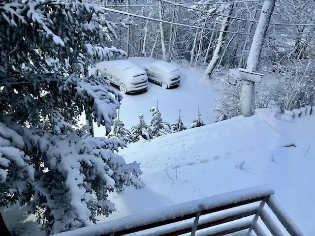 Domek alpejski Casa Monte *