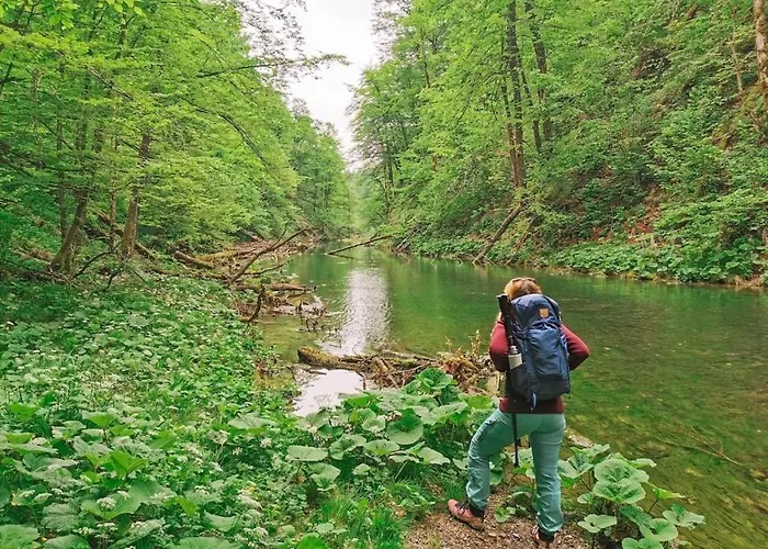 Casa Monte Domek alpejski