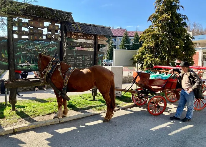 Domek alpejski Casa Monte