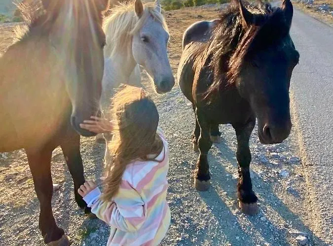 Domek alpejski Casa Monte Lič