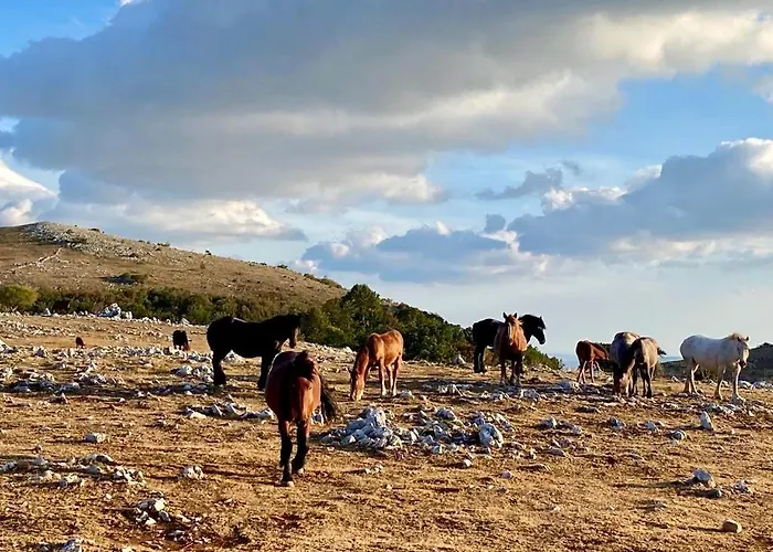 Casa Monte Domek alpejski *